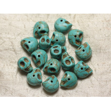 Skull schedels