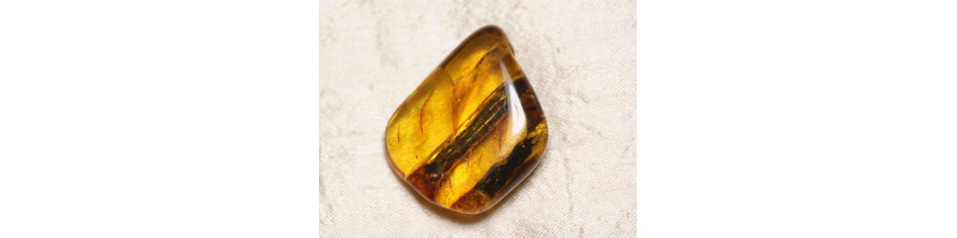 Ambra