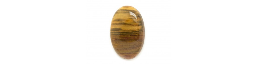 Houten fossiele cabochons
