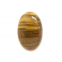 Cabochon fossili di legno