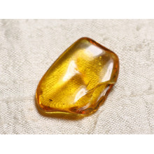 Amber Pieces