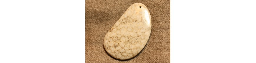 Pietre pendenti di corallo fossile