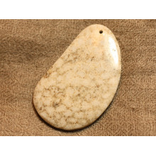 Corail Fossile Pendentifs Pierres